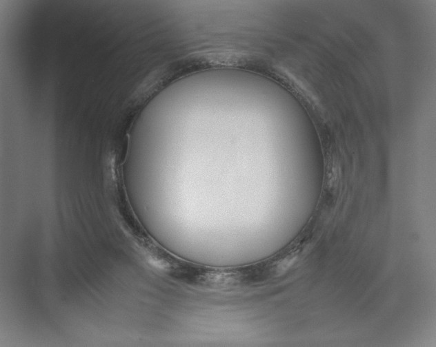 X0000074950117200609221741