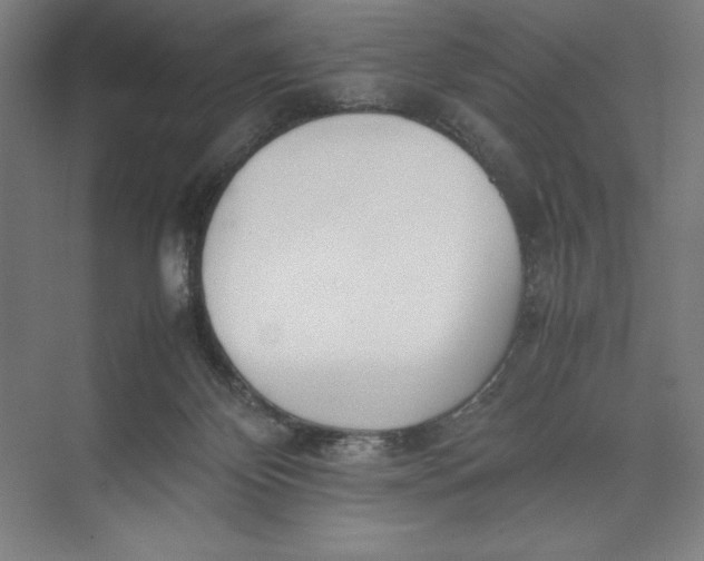 X0000074950124200609221741