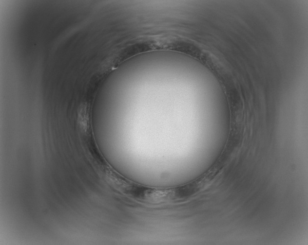 X0000074950129200609221741