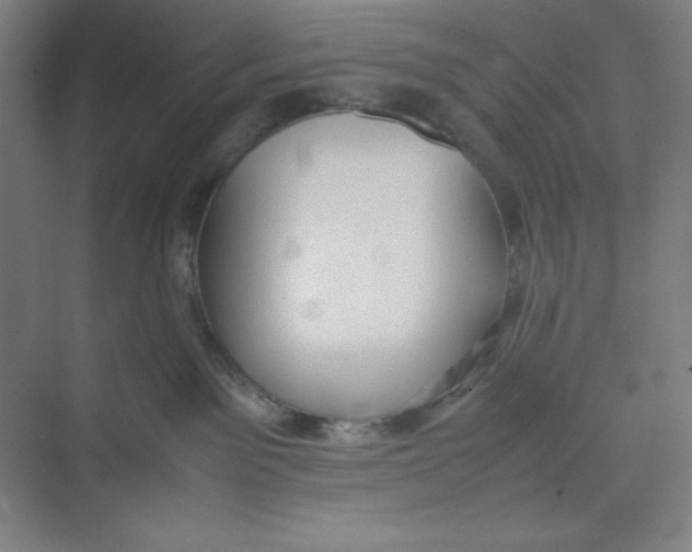 X0000074950141200609221741