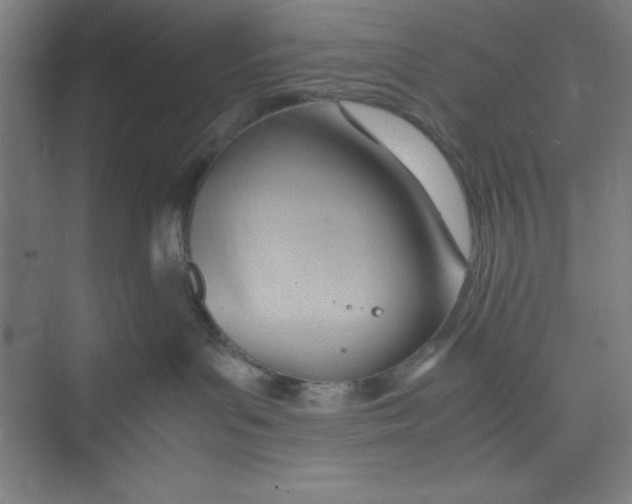 X0000074950143200609221741