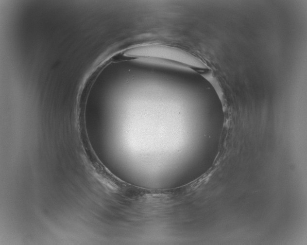X0000074950150200609221740