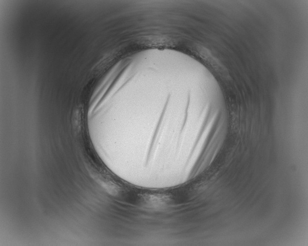 X0000074950165200609221740