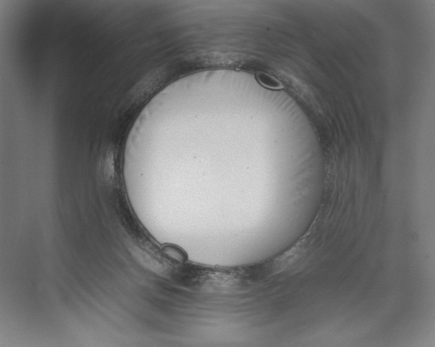 X0000074950166200609221740