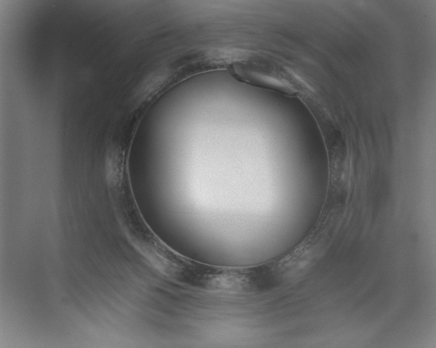 X0000074950168200609221740