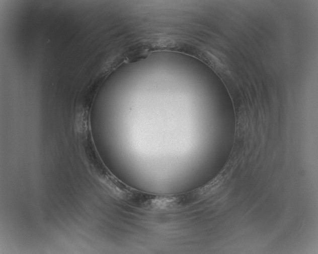 X0000074950172200609221740