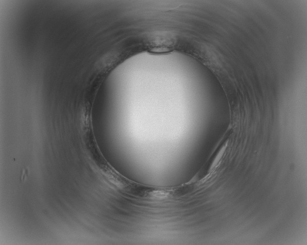 X0000074950176200609221740
