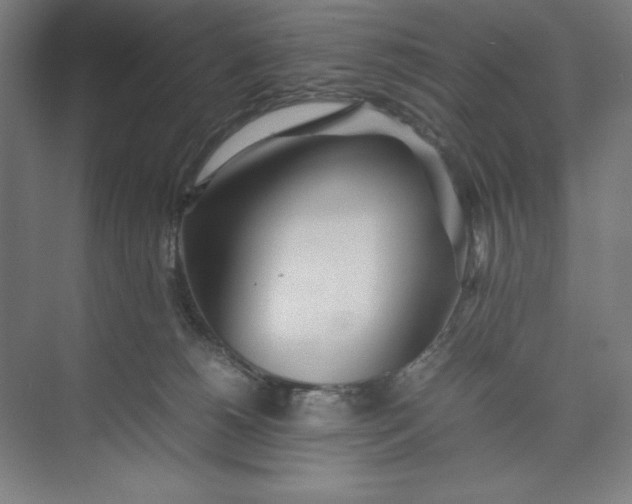 X0000074950180200609221740