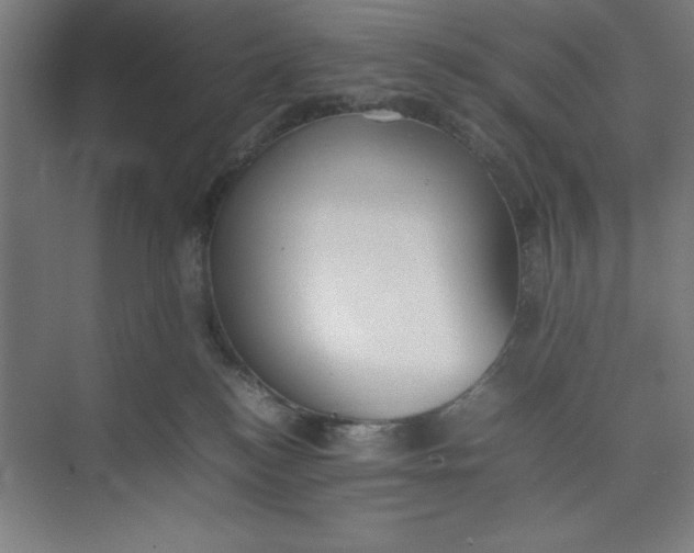 X0000074950184200609221740