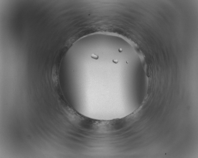 X0000074950186200609221740
