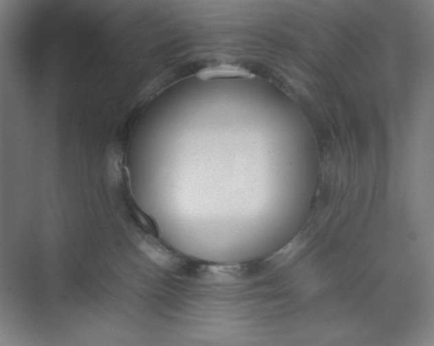 X0000074950188200609221741