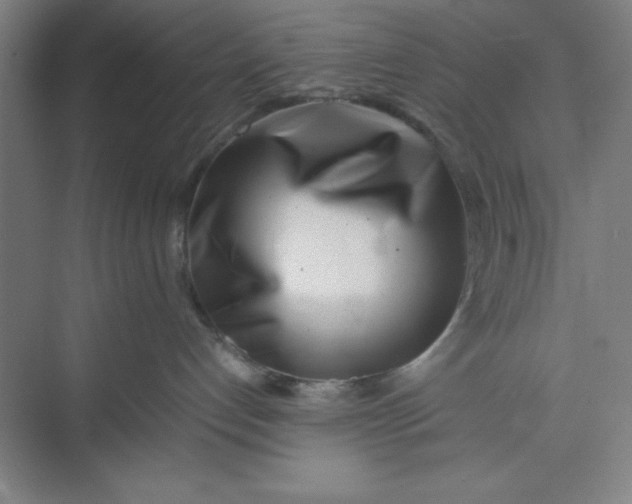 X0000074950192200609221741
