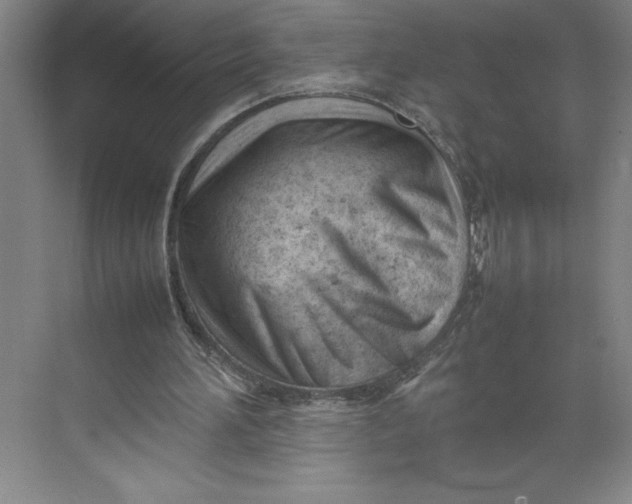X0000074950196200609221740