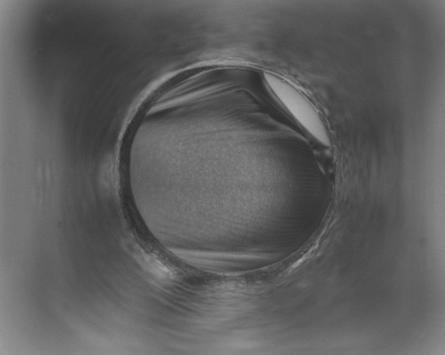 X0000074950200200609221740