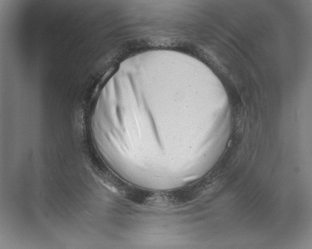 X0000074950211200609221739