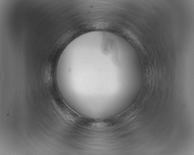 X0000074950212200609221739