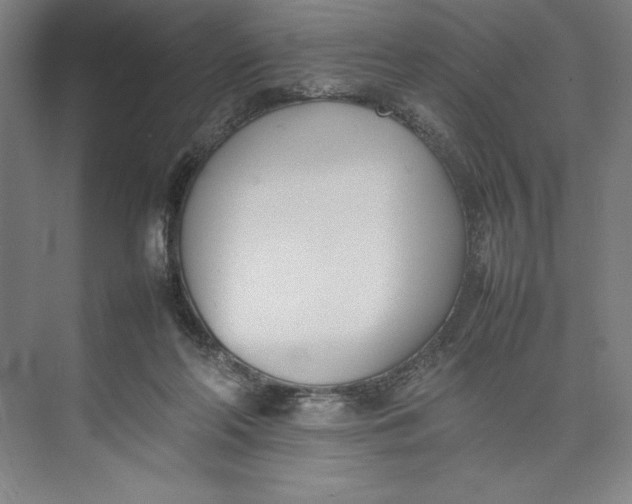 X0000074950214200609221739