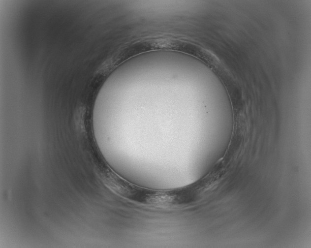 X0000074950217200609221739