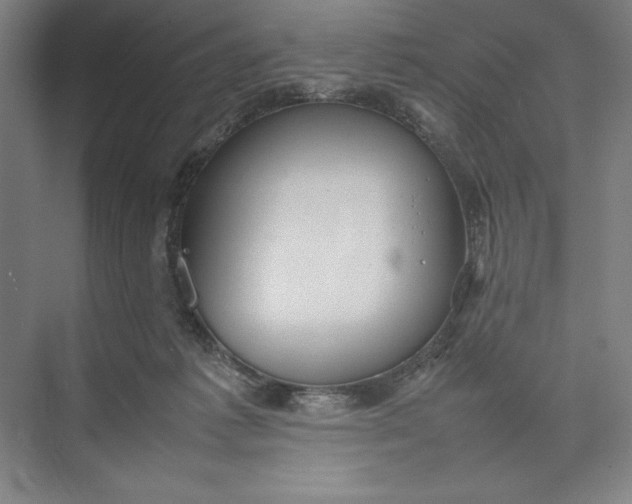 X0000074950221200609221739