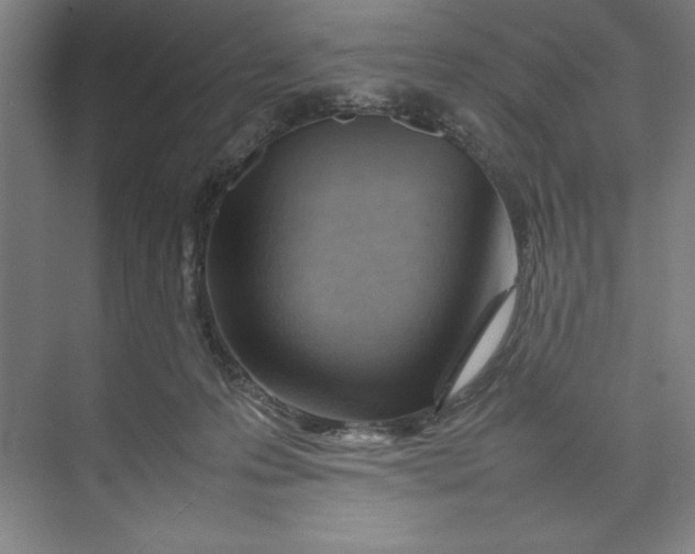 X0000074950223200609221739