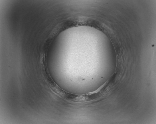 X0000074950225200609221739