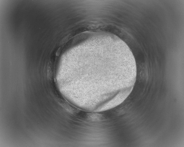 X0000074950226200609221739