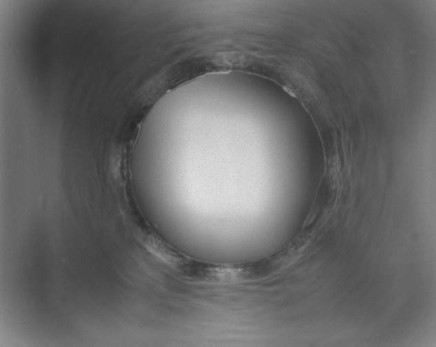 X0000074950233200609221739