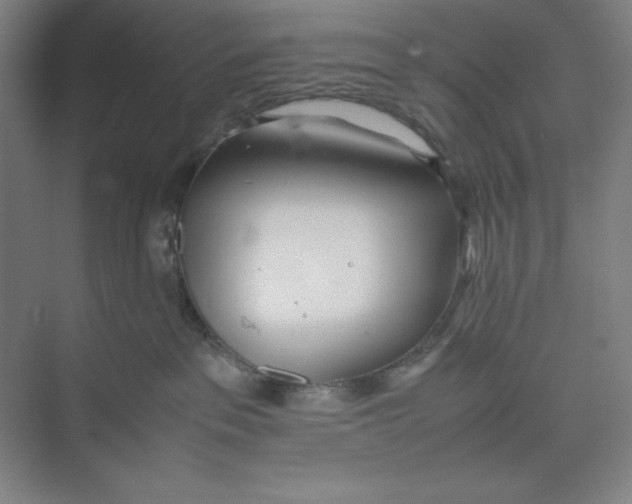 X0000074950237200609221739