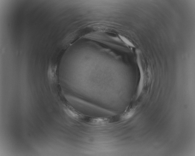 X0000074950239200609221739
