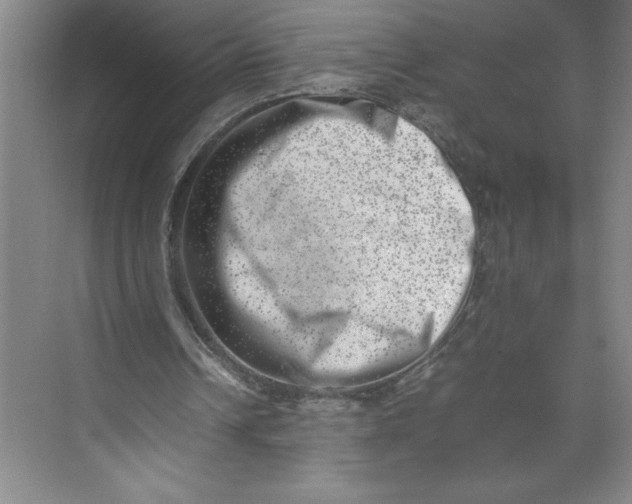X0000074950242200609221738
