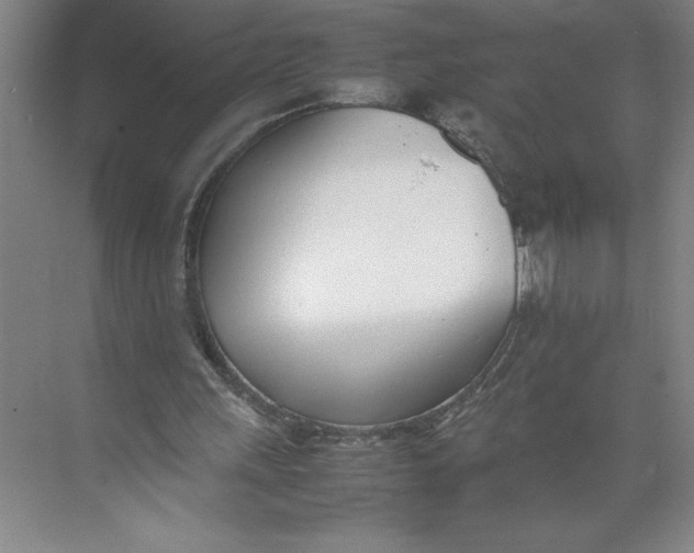 X0000074950243200609221738
