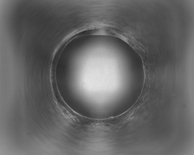 X0000074950244200609221738