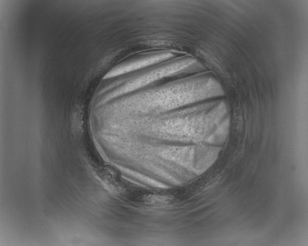 X0000074950255200609221738
