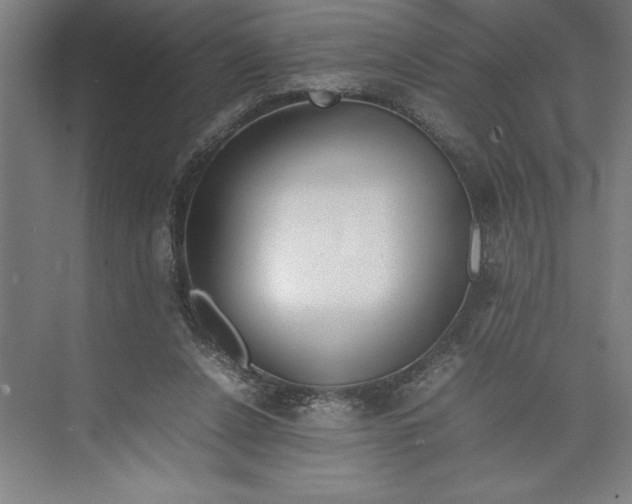 X0000074950256200609221738