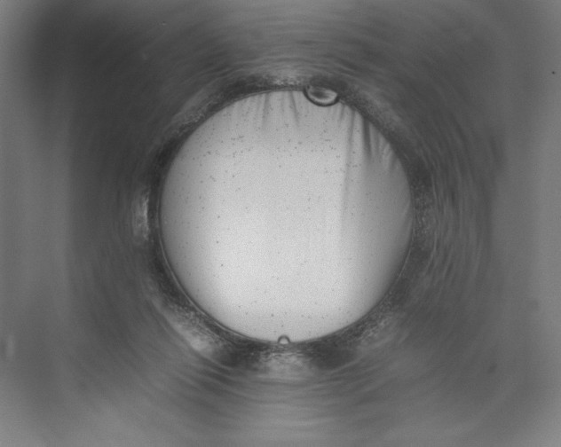 X0000074950262200609221739