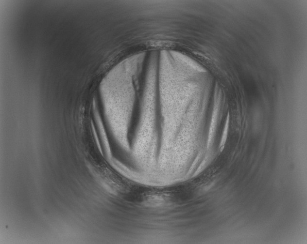 X0000074950263200609221739
