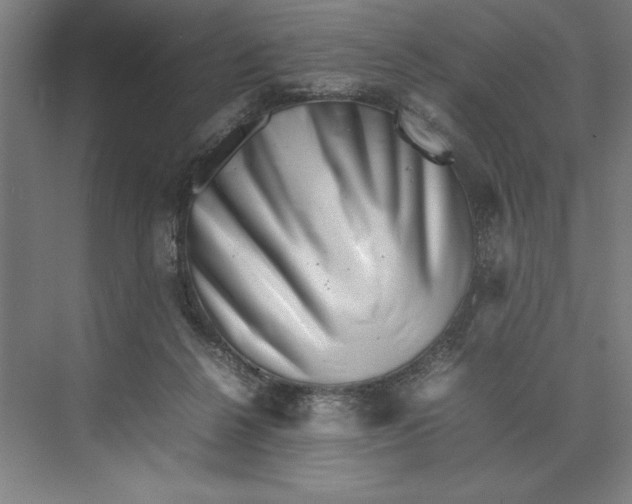 X0000074950264200609221739
