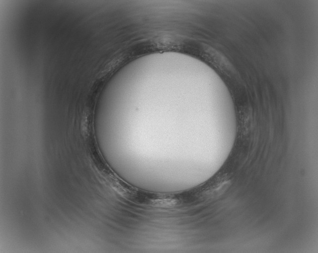 X0000074950266200609221739