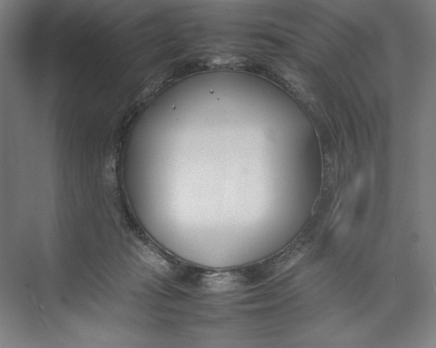 X0000074950269200609221739