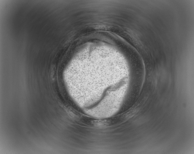 X0000074950273200609221739