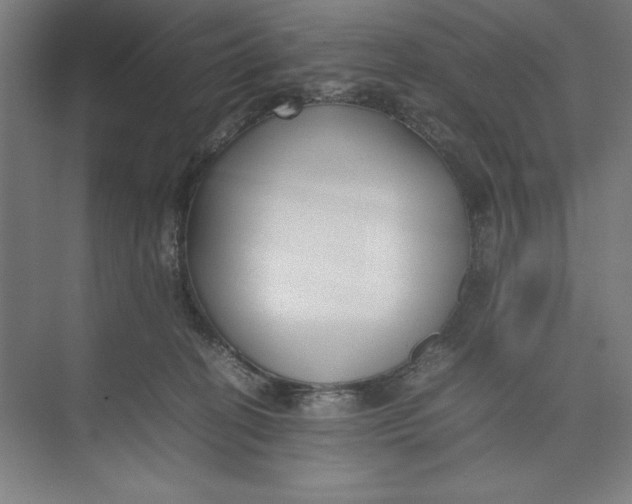 X0000074950274200609221739