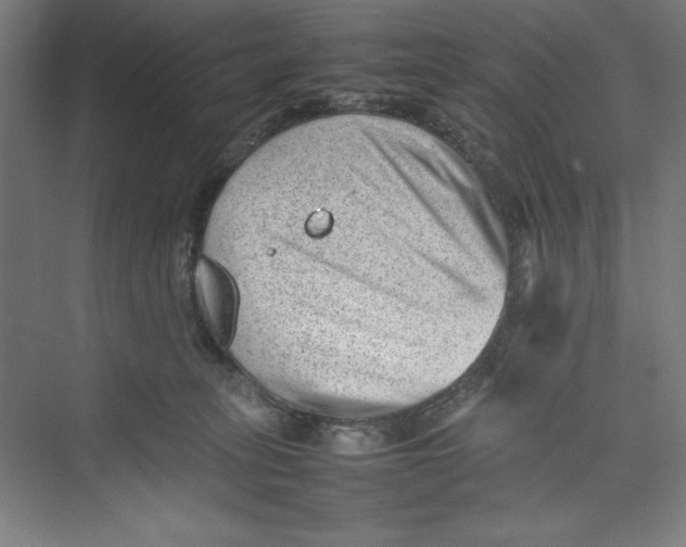 X0000074950275200609221739