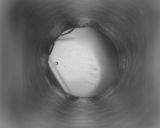X0000074950280200609221739
