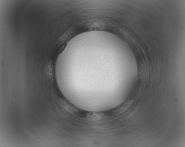 X0000074950282200609221739