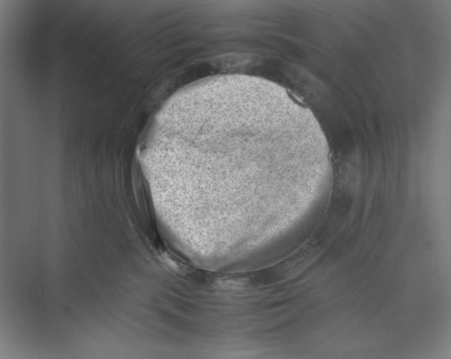 X0000074950283200609221739