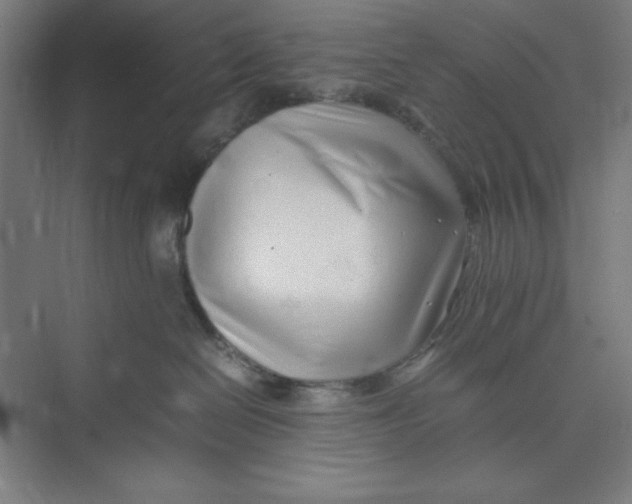 X0000074950286200609221739