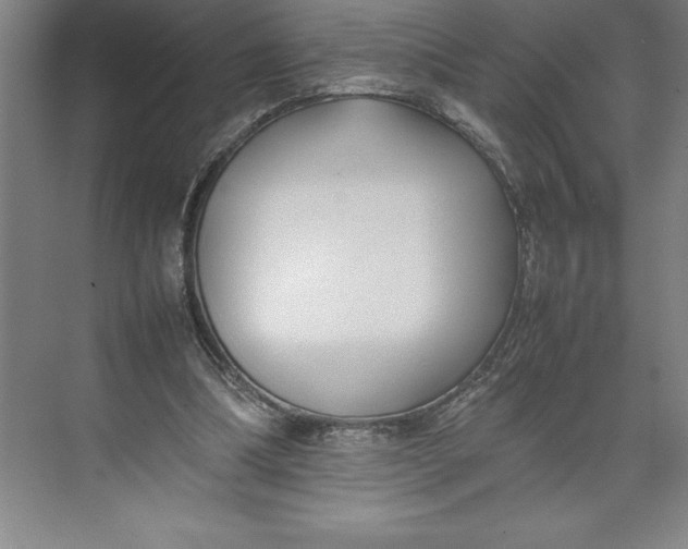 X0000074950298200609221738