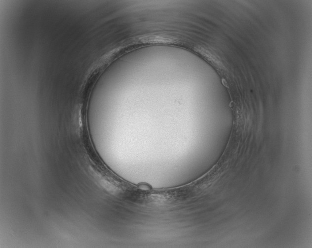 X0000074950302200609221738