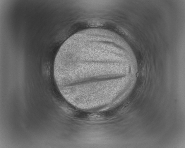 X0000074950315200609221738