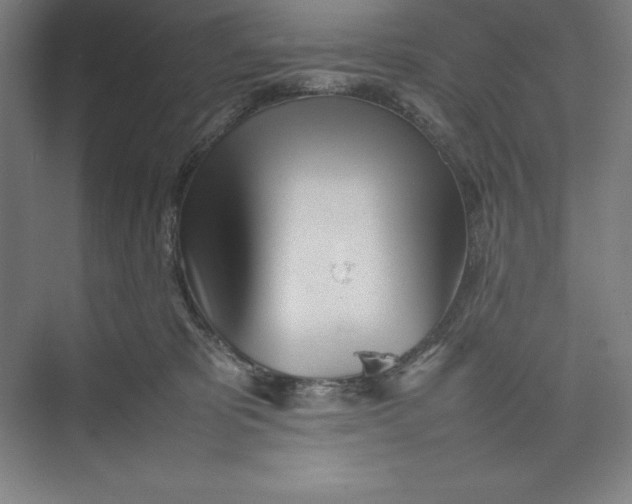 X0000074950325200609221738